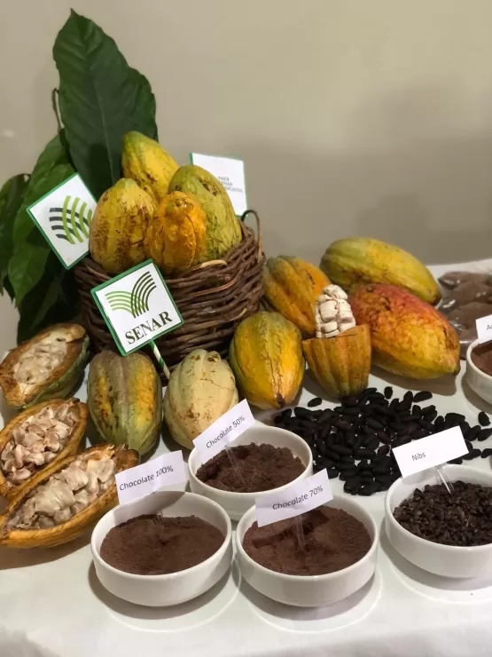 Sindicato e Senar Realizam Curso Gratuito de Derivados de Chocolate Capacitando 12 Participantes em Itanhém