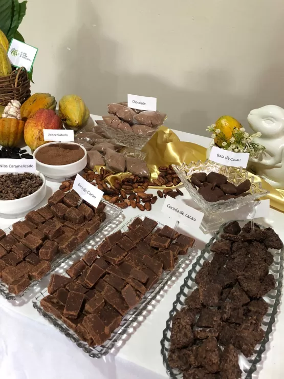 Sindicato e Senar Realizam Curso Gratuito de Derivados de Chocolate Capacitando 12 Participantes em Itanhém