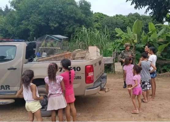 Ação Conjunta Contra o Tráfico de Animais Silvestres e Caça Ilegal em Itanhém: CIPPA/PS e Departamento de Meio ambiente unem esforços
