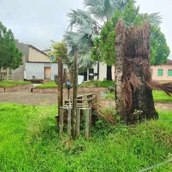 Vereador Eleito Fábio Pereira e Deusdete Mobilizam Limpeza e Preparam Praças de Ibirajá para o Natal