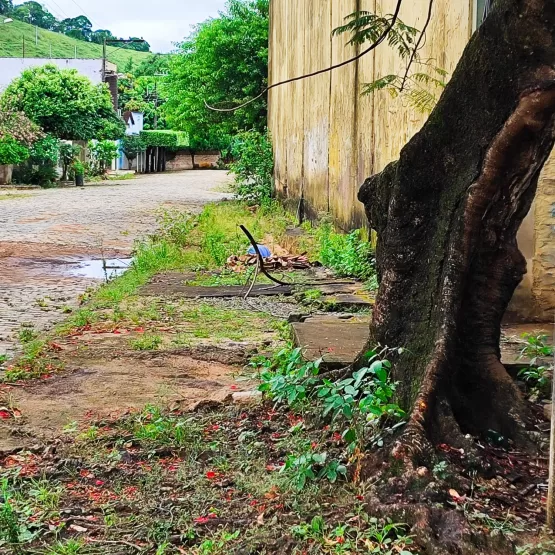 Vereador Eleito Fábio Pereira e Deusdete Mobilizam Limpeza e Preparam Praças de Ibirajá para o Natal