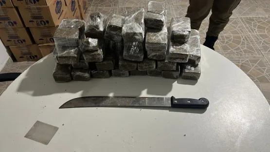 Militares da 88ª CIPM apreendem 22 tabletes de maconha na BA-290 próximo a Alcobaça