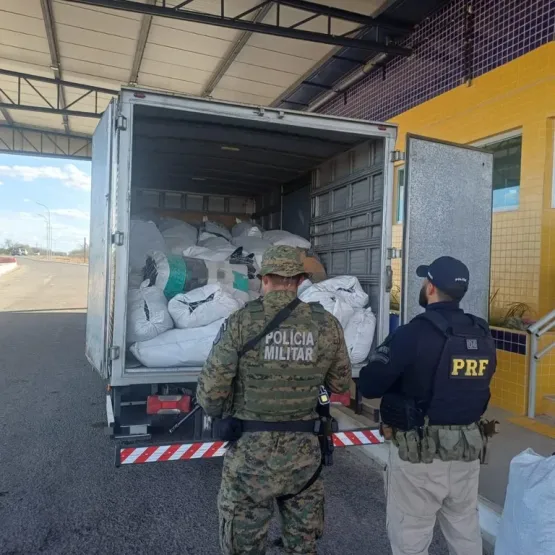 PRF apreende mais de 780 kg de maconha em caminhão durante operação na Bahia