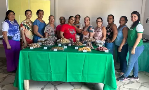 Cursos Gratuitos Realizados pelo Sindicato Rural de Itanhém Marcam o Início do Ano