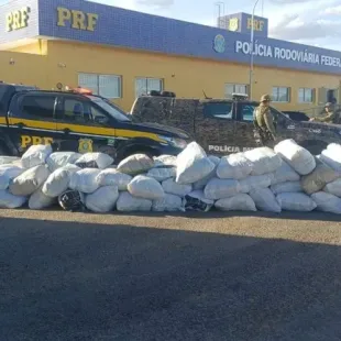 PRF apreende mais de 780 kg de maconha em caminhão durante operação na Bahia