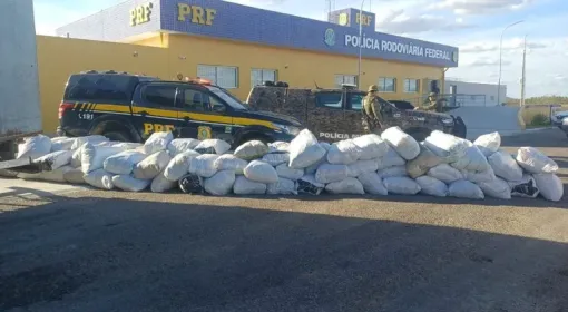 PRF apreende mais de 780 kg de maconha em caminhão durante operação na Bahia