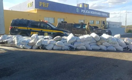 PRF apreende mais de 780 kg de maconha em caminhão durante operação na Bahia