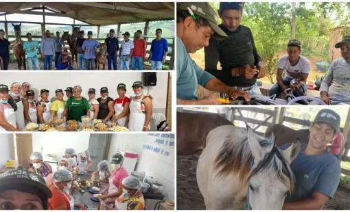 Sindicato Rural de Itanhém Realizou em Novembro Cinco Cursos Profissionalizantes Gratuitos